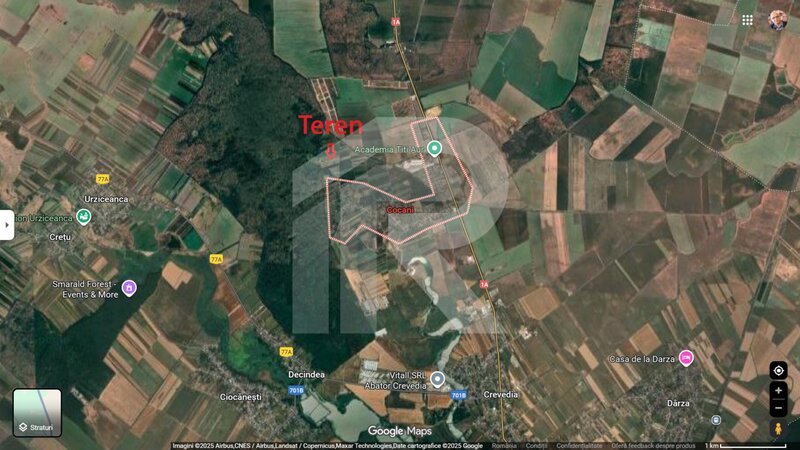 Cocani, refugiu la marginea padurii, 1000 mp de liniste