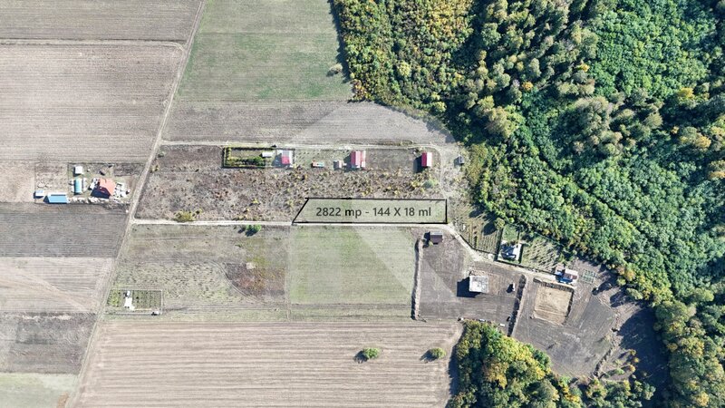 Cocani, refugiu la marginea padurii, 2822 mp de liniste