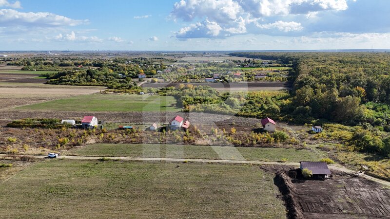 Cocani, refugiu la marginea padurii, 1000 mp de liniste