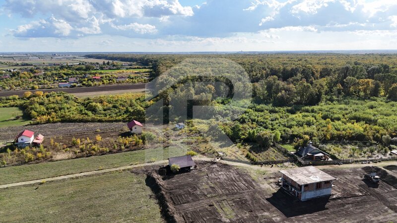Cocani, refugiu la marginea padurii, 1000 mp de liniste