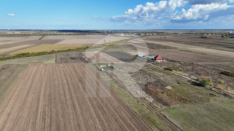 Cocani, refugiu la marginea padurii, 1000 mp de liniste