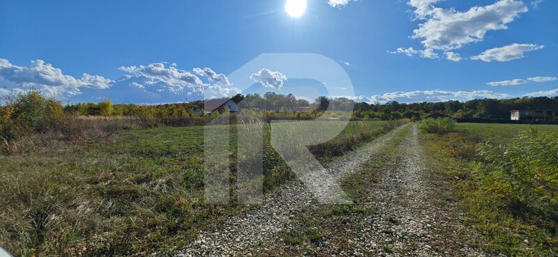 Cocani, refugiu la marginea padurii, 1000 mp de liniste